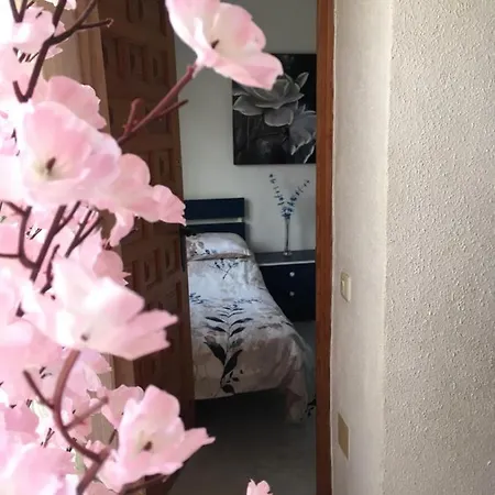 Casa Phoenix Bed & Breakfast ベッド・アンド・ブレックファスト 3*