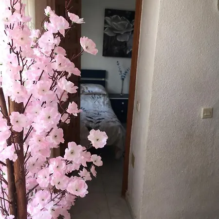 Casa Phoenix Bed & Breakfast 3* La Mariña