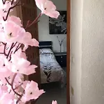 Casa Phoenix Bed & Breakfast Couette-café 3*