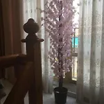 Casa Phoenix Bed & Breakfast 3*