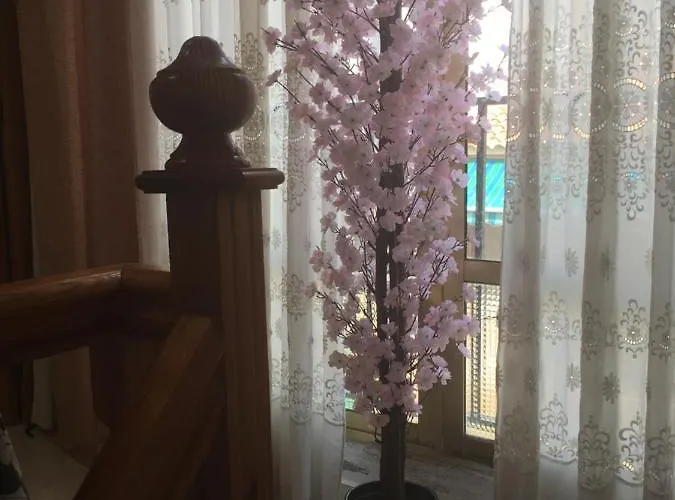 Casa Phoenix Bed & Breakfast 3*