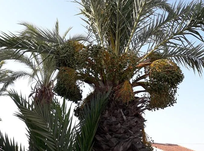 Casa Phoenix Bed & Breakfast Couette-café 3*