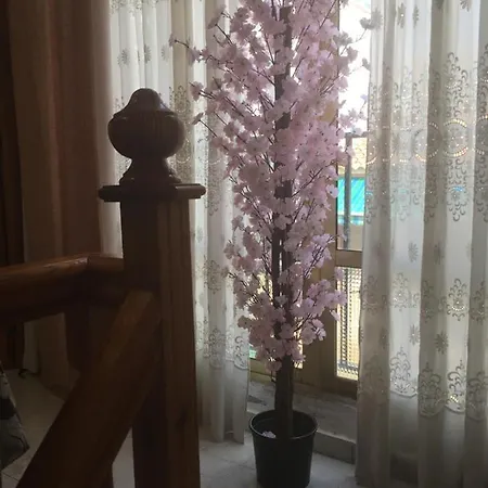 Casa Phoenix Bed & Breakfast *